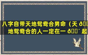 八字自带天地鸳鸯合男命（天 🌷 地鸳鸯合的人一定在一 🌴 起吗）